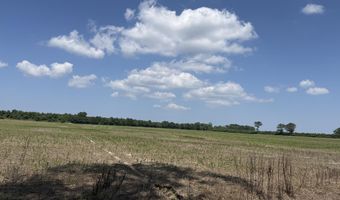 Sr 1918 Road, Aurora, NC 27806