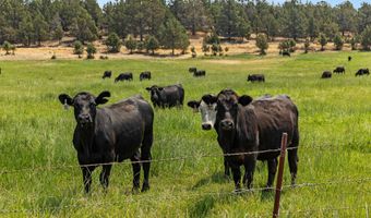 7122 E Langell Valley Rd, Bonanza, OR 97623