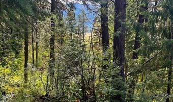 459 Collier Vw, Cascade, ID 83611