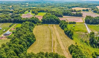 157 Buttercup Ln, Ararat, NC 27007