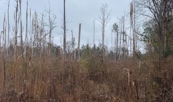 Jack Road, Braxton, MS 39044