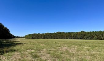 00001 Frank Hall Rd, Bolton, MS 39041