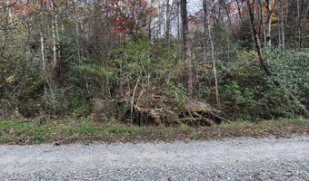 135 49ac Webb Creek Rd, Andrews, NC 28901