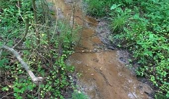 7700 Poole Cir Tract A, Alto, GA 30510