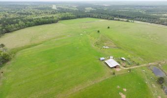 91801 U. S. Highway 98, Beaumont, MS 39423