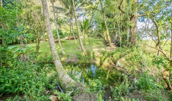 29-509 CHIN CHUCK Rd, Hakalau, HI 96710