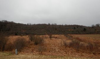 County Route 16, Angelica, NY 14709