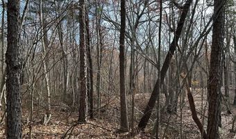 Hwy 105, Baldwin, GA 30511