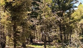 Lot 828 San Felip Circle, Angel Fire, NM 87710