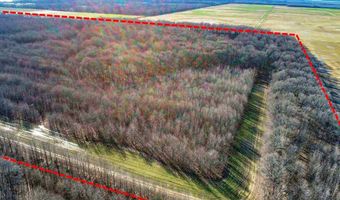 6075 Curtis Rd, Batesville, MS 38606