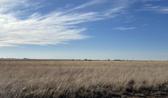 FM 2130, Anton, TX 79313