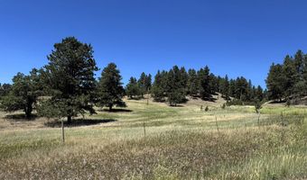 Kimball Road, Aladdin, WY 82710