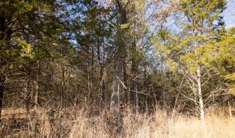 1789 County Road 226, Alton, MO 65606