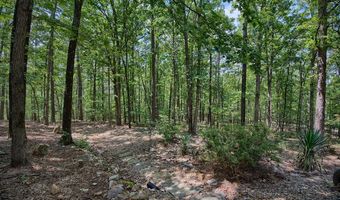 44 Valencia Way, Hot Springs Village, AR 71909