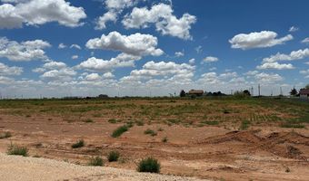 SE CR 2870, Andrews, TX 79714