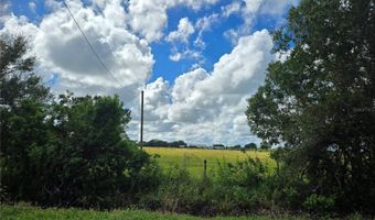 Se Piggy Back Road, Arcadia, FL 34266