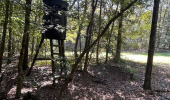 4496 State Hwy 130, Banks, AL 36005