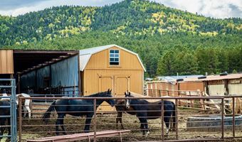 27502 US Highway 64 Roadrunner Tours, Angel Fire, NM 87710