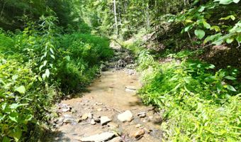 1083 Right Fork Crummies Crk, Arnoldsburg, WV 25234