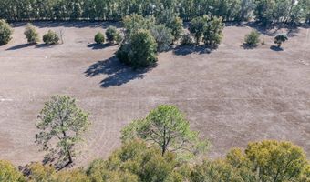 County Road 236 lot 4, Bell, FL 32619