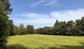 Poplar Springs Road, Atwood, TN 38220