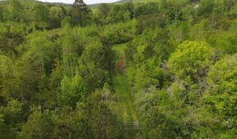 2633 Georgia Hwy 120 485.53 Acres, Tallapoosa, GA 30176