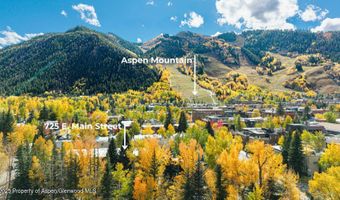725 E Main St 309, Aspen, CO 81611