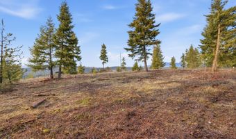 3804 Kelso Lake Rd, Athol, ID 83801