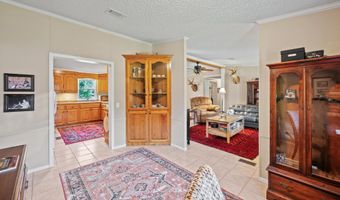 7901 Ashleigh Rd, Blackville, SC 29817
