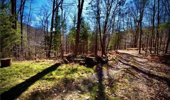 339 Mountain Lake Rd, Andes, NY 13731