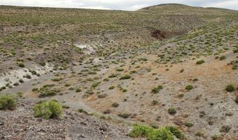 007-021 58 APN, Fallon, NV 89406
