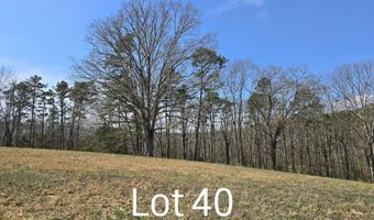 5303 5307 Bear Creek Rd, Birchwood, TN 37308