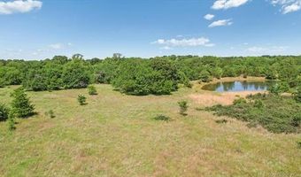 891 Sassafras Rd, Bennington, OK 74723