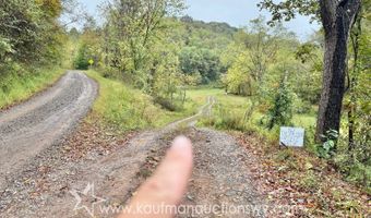 Jesse Run Rd, Arnoldsburg, WV 25234