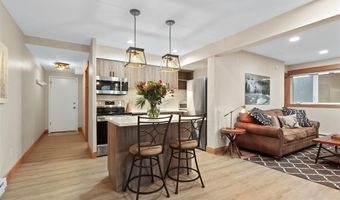 820 COLUMBINE Rd 20, Breckenridge, CO 80424