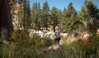 194 Cartwright Ct Lot 244, Carson City, NV 89705