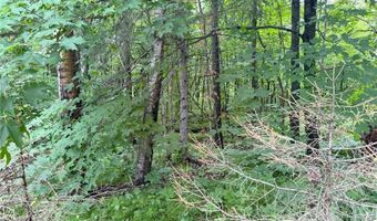 31706 293rd St, Aitkin, MN 56431