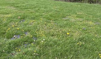 916 Woods Run Rd, Bardstown, KY 40004