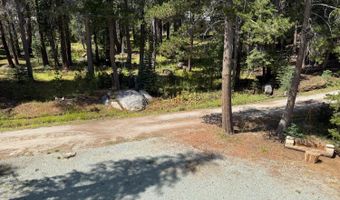 79 Silvertip Rd, Bear Valley, CA 95223