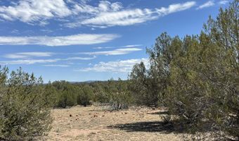 21 Off Of Cooks Trl, Ash Fork, AZ 86320