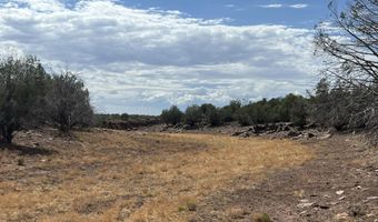 76 N Cattle Dr, Ash Fork, AZ 86320