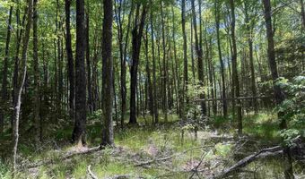 10662 Wisconsin 139, Argonne, WI 54511