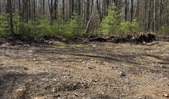 Bolton Hill Road lot 88, Augusta, ME 04330