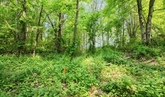 2895 Terra Nova Dr SE, Ada, MI 49301