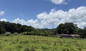 0 Newman Ln, Blaine, TN 37709