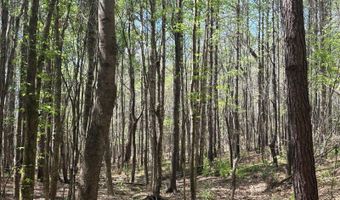 274 CR 3301, Booneville, MS 38829