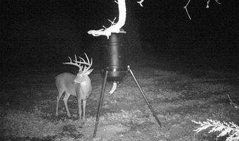 Mayes, Adair, OK 74330