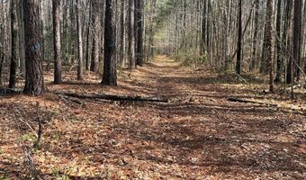 Parsons Road, Ashland, VA 23015