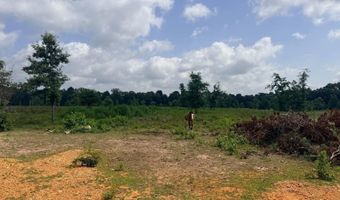 138 Little River 183, Ashdown, AR 71822
