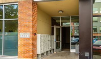 361 Robinson St 308, Basalt, CO 81621